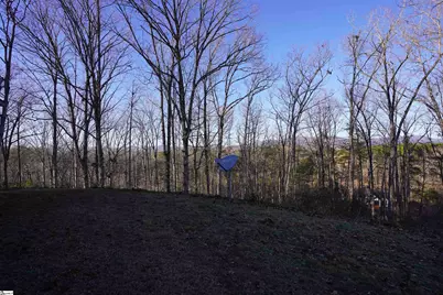 450 S Packs Mountain Road, Taylors, SC 29687 - Photo 16