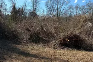 305 N Palmetto St, Liberty, SC 29657 - Photo 4