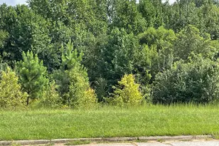 1 Park Plaza Blvd, Mauldin, SC 29607 - Photo 2