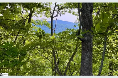 720 Callahan Mountain Road, Travelers Rest, SC 29690 - Photo 6