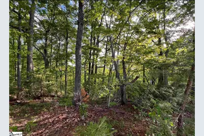 720 Callahan Mountain Road, Travelers Rest, SC 29690 - Photo 10