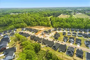 229 Hollythorpe Ln, Fountain Inn, SC 29644 - Photo 36