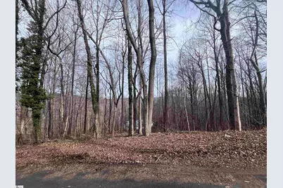 00 Wildflower Lane, Travelers Rest, SC 29690 - Photo 8