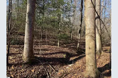 550 Pine Mountain Road, Tamassee, SC 29686 - Photo 22