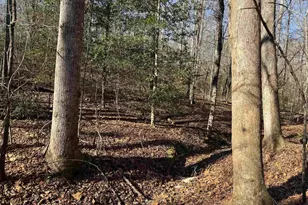 550 Pine Mountain Rd, Tamassee, SC 29686 - Photo 22