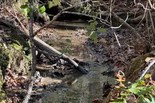 550 Pine Mountain Rd, Tamassee, SC 29686 - Photo 24