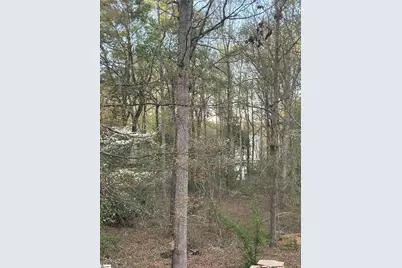 27 King Eider Way, Taylors, SC 29687 - Photo 48