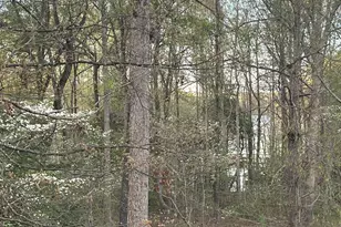 27 King Eider Way, Taylors, SC 29687 - Photo 48