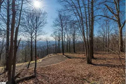 225 Lost Trail Drive, Landrum, SC 29356 - Photo 8
