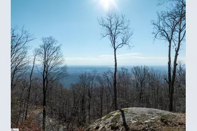 225 Lost Trail Drive, Landrum, SC 29356 - Photo 4