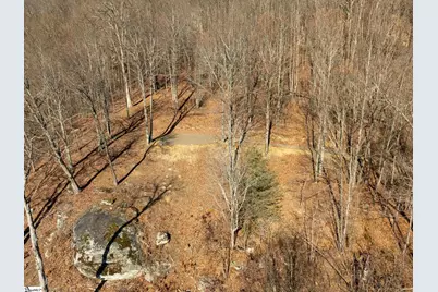 225 Lost Trail Drive, Landrum, SC 29356 - Photo 10