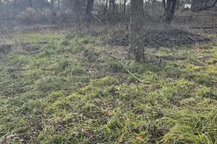 4826 Chesnee Hwy, Chesnee, SC 29323 - Photo 14