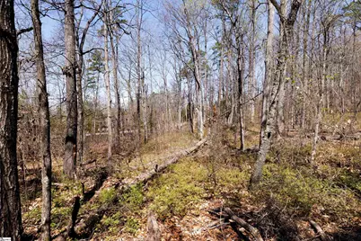 10 Donatello Court #Lot 94, Greenville, SC 29609 - Photo 10