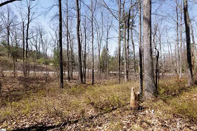 10 Donatello Court #Lot 94, Greenville, SC 29609 - Photo 12