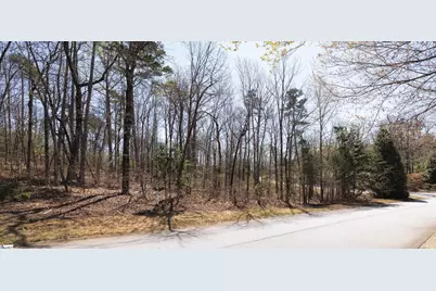 10 Donatello Court #Lot 94, Greenville, SC 29609 - Photo 18