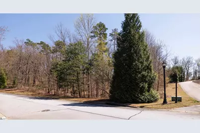 10 Donatello Court #Lot 94, Greenville, SC 29609 - Photo 16