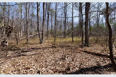 10 Donatello Court #Lot 94, Greenville, SC 29609 - Photo 14