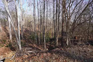 445 Brandy Ln, Pickens, SC 29671 - Photo 16