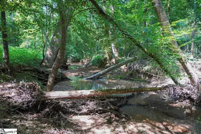 1560 Meansville Road, Union, SC 29379 - Photo 10