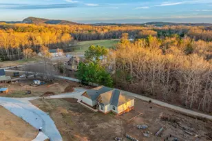 117 Foggy Mountain Wy, Pickens, SC 29671 - Photo 40