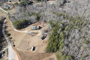 135 Cribbs Way, Easley, SC 29640 - Photo 30