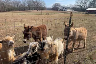 1739 Hwy 418, Pelzer, SC 29669 - Photo 30