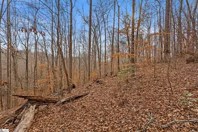 00 Sc 11 Hwy #LOT 27, Travelers Rest, SC 29690 - Photo 16