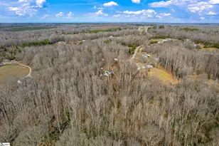 242 Hawk Ln, Fountain Inn, SC 29644 - Photo 38