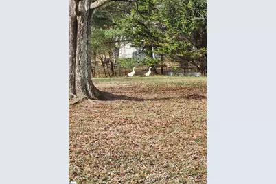 263 Babb Road, Campobello, SC 29322 - Photo 6