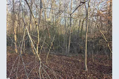 506 Trinity Church Road, Laurens, SC 29360 - Photo 12