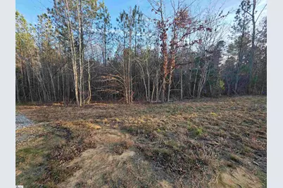 506 Trinity Church Road, Laurens, SC 29360 - Photo 4