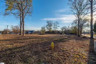 00 Aaron Tippin Drive, Greer, SC 29650 - Photo 6
