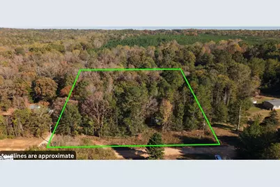 296 Cheeks Circle, Gray Court, SC 29645 - Photo 2