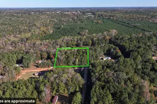 296 Cheeks Cir, Gray Court, SC 29645 - Photo 1