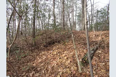 Lone Rock Court #Lot 10 Whispering Falls, Pickens, SC 29671 - Photo 4