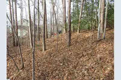 Lone Rock Court #Lot 10 Whispering Falls, Pickens, SC 29671 - Photo 10