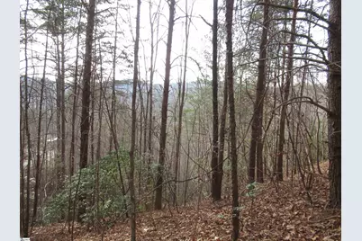 Lone Rock Court #Lot 10 Whispering Falls, Pickens, SC 29671 - Photo 2