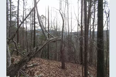 107 Lone Rock Court, Pickens, SC 29671 - Photo 6