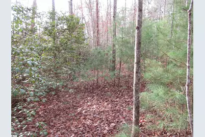 116 Fireside Lane, Pickens, SC 29671 - Photo 8
