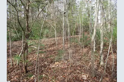 110 Fireside Lane, Pickens, SC 29671 - Photo 2