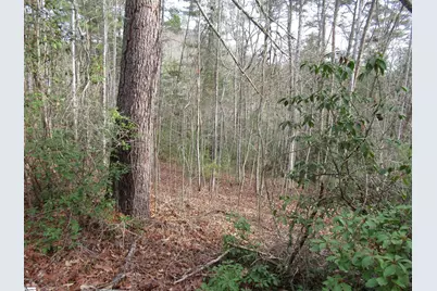 110 Fireside Lane, Pickens, SC 29671 - Photo 14