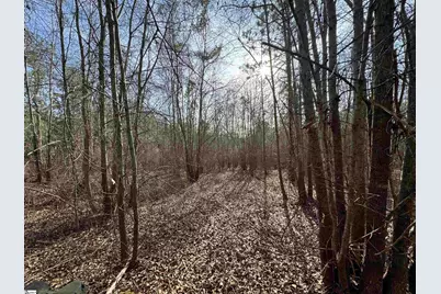 1816 Troy Road, McCormick, SC 29835 - Photo 16