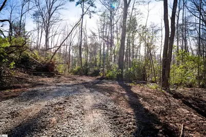 126 Valley Lake Trail, Travelers Rest, SC 29690 - Photo 2