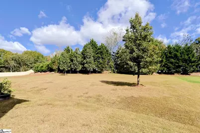 209 Tea Olive Place, Simpsonville, SC 29680 - Photo 28