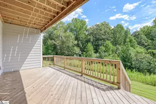 727 Enoree River Pl, Greer, SC 29651 - Photo 44