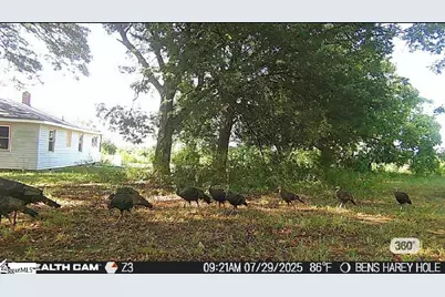 737 Lowrys Road, Gaffney, SC 29340 - Photo 50