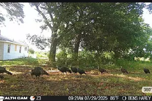 737 Lowrys Rd, Gaffney, SC 29340 - Photo 50