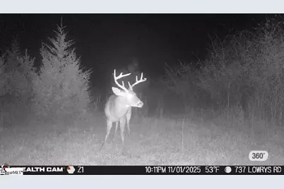 737 Lowrys Road, Gaffney, SC 29340 - Photo 46