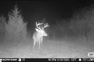 737 Lowrys Rd, Gaffney, SC 29340 - Photo 46