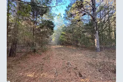 6620 Liberty Highway, Pendleton, SC 29670 - Photo 6